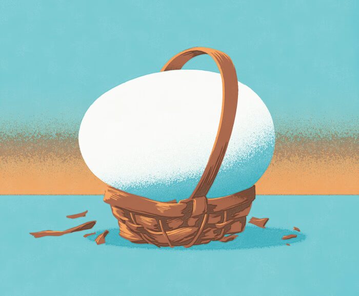 Egg in basket illstratustion